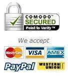 We accept Visa, Mastercard, Amex, Paypal, Western union