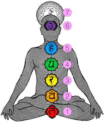 The Chakra's