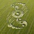 Crop Circle