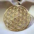 Flower of Life