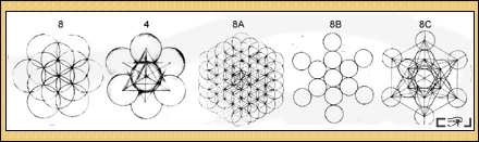 Flower of Life evolution