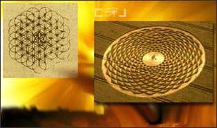 Flower of life