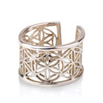 pattern of life ring2