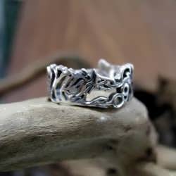 The Ouroboros Ring