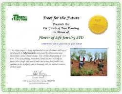 12000 tree donation Certificate