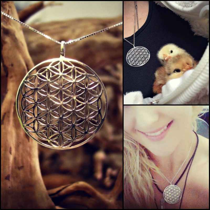 Flower
                            of Life