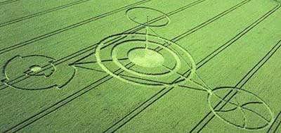 Création personnelle (ou crop circle)