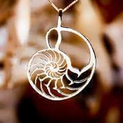 Nautilus Jewelry Pendant Gold