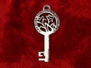 «Ключ Дороги», серебро