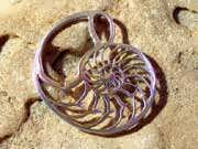 Nautilus Jewelry Pendant Silver