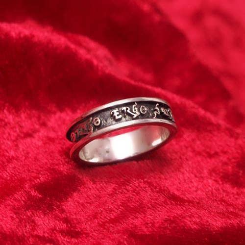 Diligo Ergo Sum ring silver (narrow)