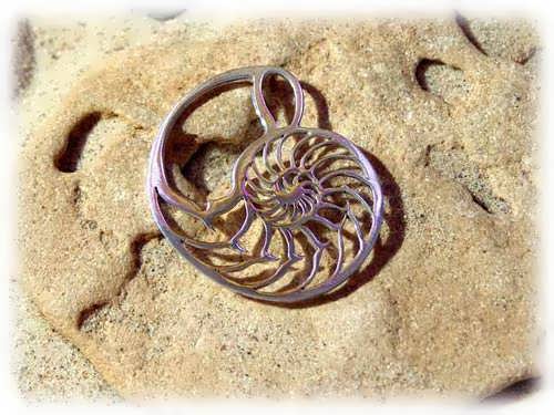 Nautilus Jewelry Pendant Silver