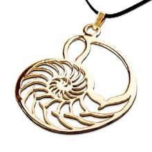 Nautilus shell
                    pendant