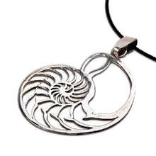 Nautilus shell
                    jewelry