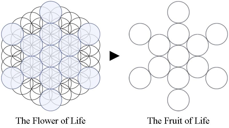 The Secret Shape Of Fruit Life Ka